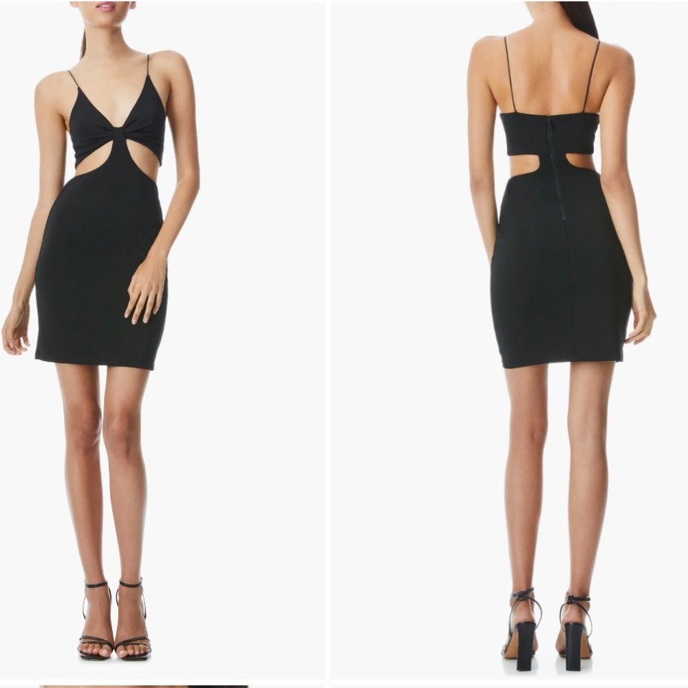 Alice + Olivia Women's Havana Cut-Out Mini Dress - Black